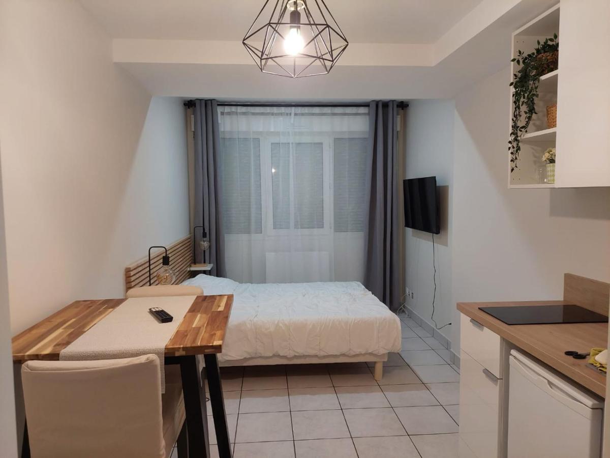 Apt Lyon Flachet Villeurbanne Exterior foto