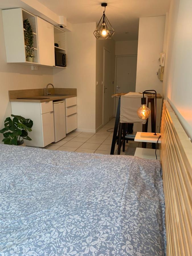 Apt Lyon Flachet Villeurbanne Exterior foto